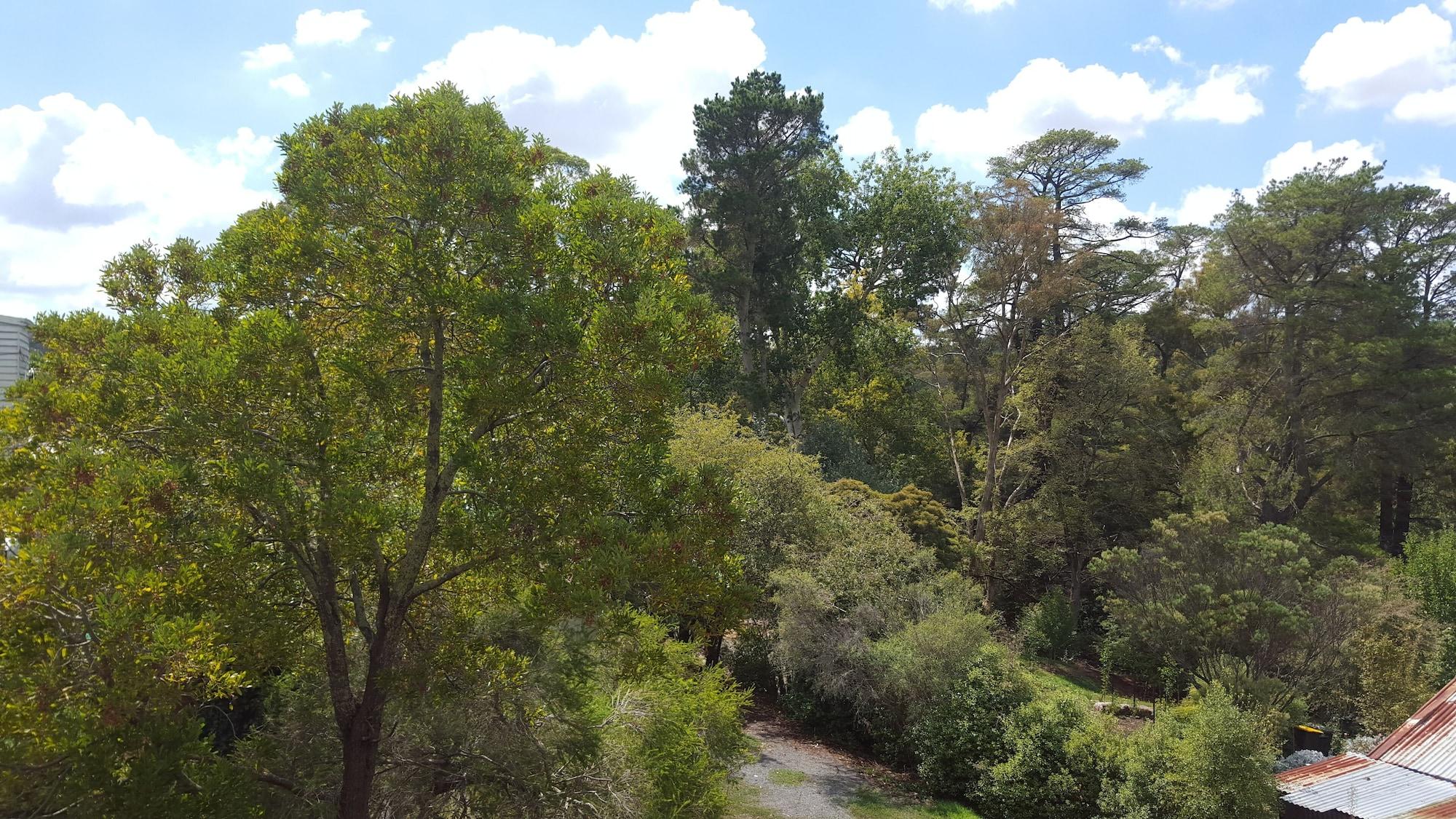 Hepburn Springs Motor Inn Esterno foto
