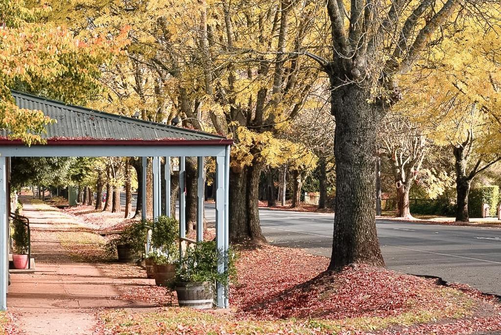 Hepburn Springs Motor Inn Esterno foto
